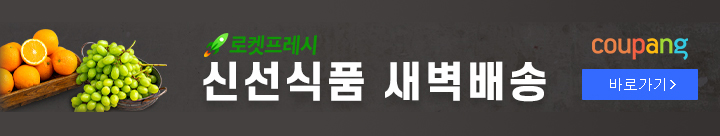 쿠팡 파트너스 광고